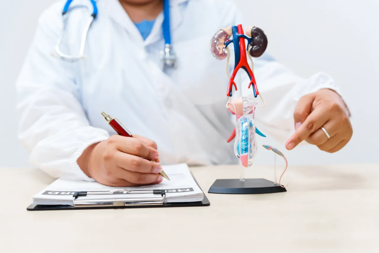 How Does a Men’s Sexual Health Clinic Address Fertility Concerns? 
